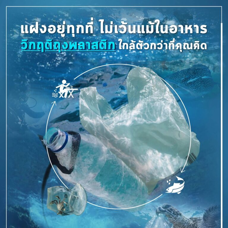 'พลาสติก' สิ่งแปลกปลอมที่แฝงตัวอยู่ทุกที่