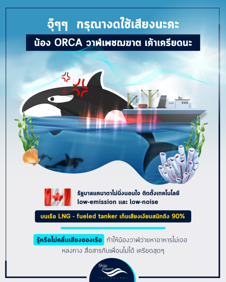 เรือ Tanker เก็บเสียงเพื่อป้องกันการรบกวนวาฬ